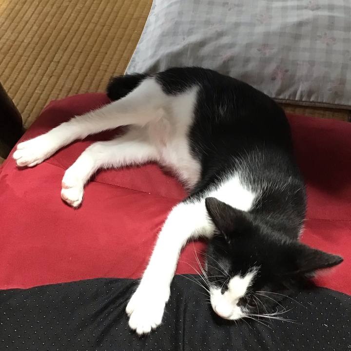 D7fa62b2 d849 4fb4 bf08 40df12846ca7 1626243180209