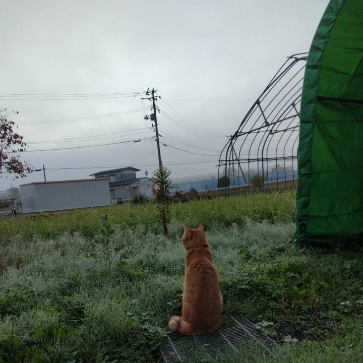 D7fab4f3 4700 4bc3 8fba 17b62eb8314e 1666735066569