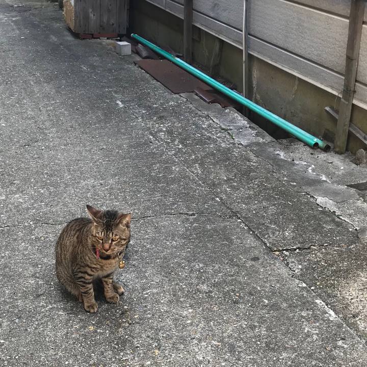 D7facfb2 ba5e 499f b1a4 83b787f307f2 1547877580959