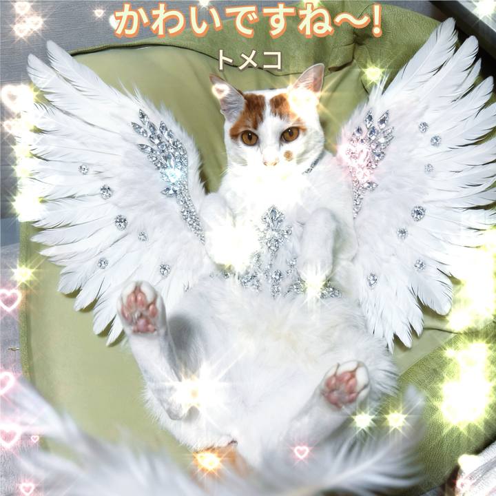 D7faf508 57f6 4e5d a533 4d9923b1bb3b 1764938338998