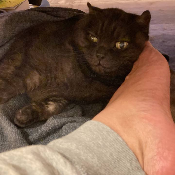 D7fb39a3 d5f1 4fa4 8ce8 46054209a67f 1606577471622