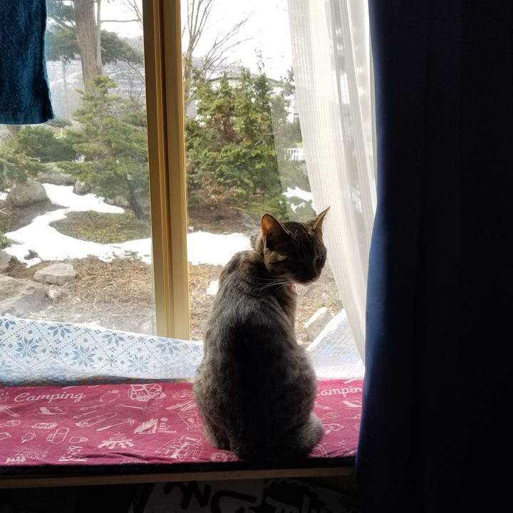 D7fb39cf 963e 4ea5 b8c3 4b23907775c3 1681917151976