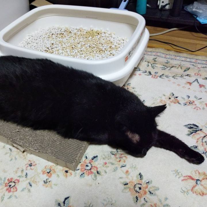 D7fb3cab 4002 43a2 b7c5 b582b70764f5 1628165538596