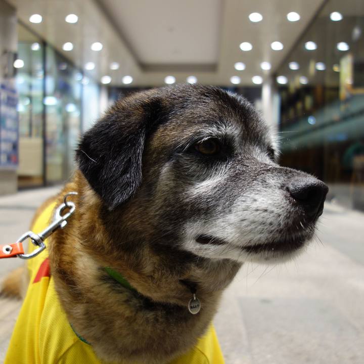 D7fb41a3 7836 465d b684 255e0c6af956 1529068125322