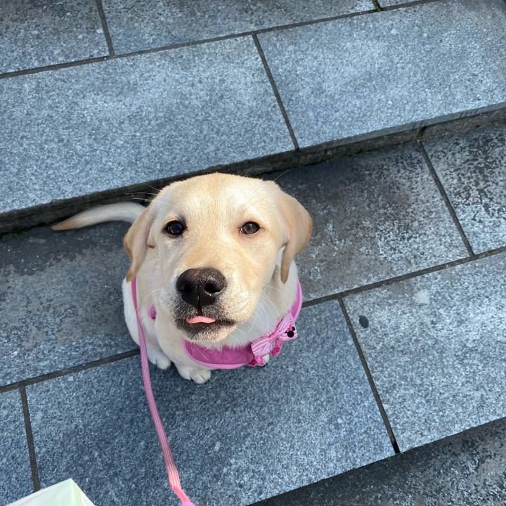 D7fb53b8 b940 4845 affb 671959a12664 1615273866647