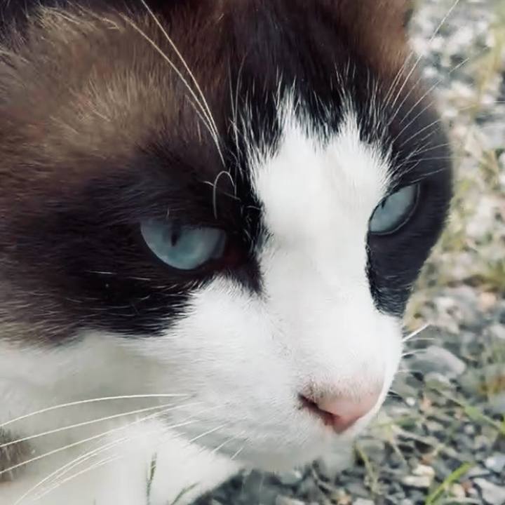 D7fb74cb 6537 4e92 8368 57043fe6298c 1748416415737