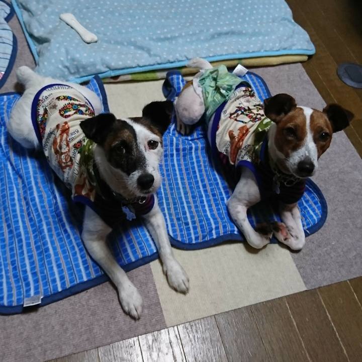 D7fbbf28 3155 4328 81ea cac1519c61f2 1559745085040