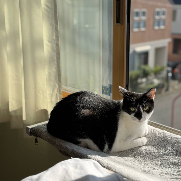 D7fbc0df 84d6 4080 9c0b 20fe0d7ef59d 1757123193238