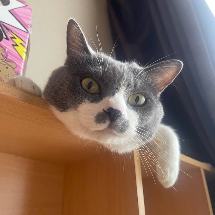 D7fbc9be 8ef8 4d66 af55 ae16d3684e48 1725146199459