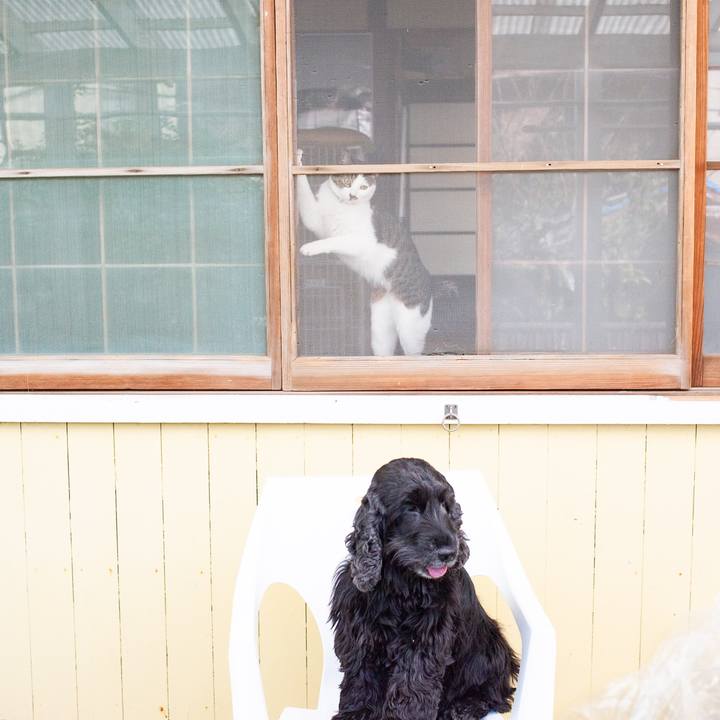 D7fbd608 b441 473b b043 3fc9c1f0b409 1550505938313