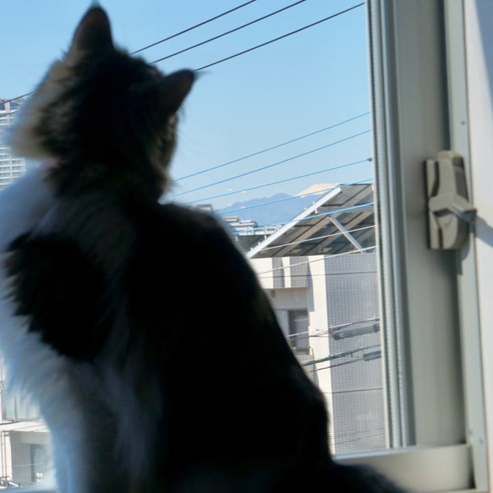 D7fbef84 11b3 4183 98fe f4615df1ad5e 1552900210653