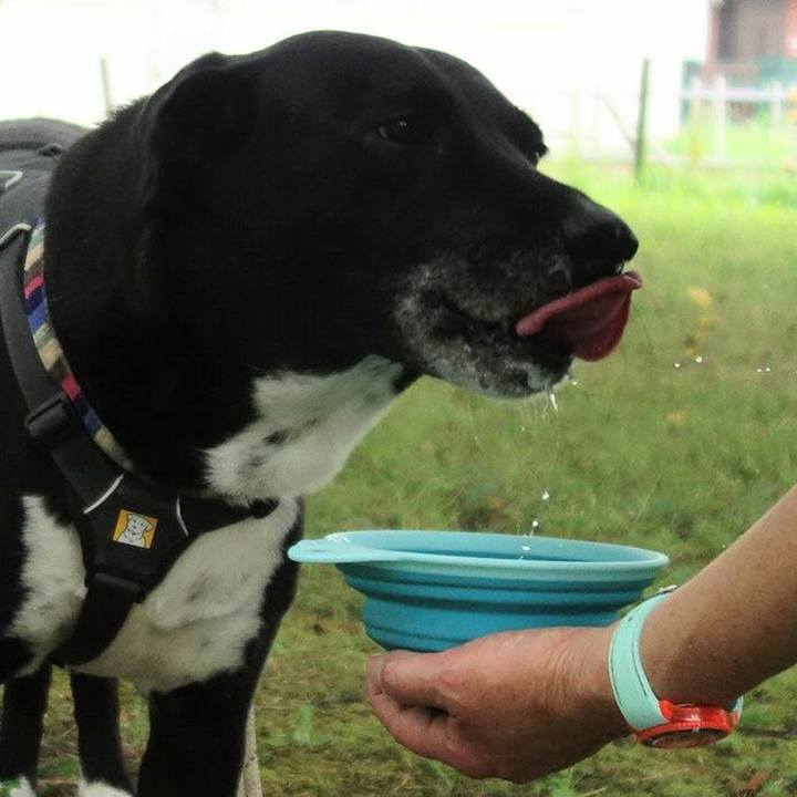 D7fc2b35 29e3 497c a9c0 8a3e52b1c96c 1657584576543