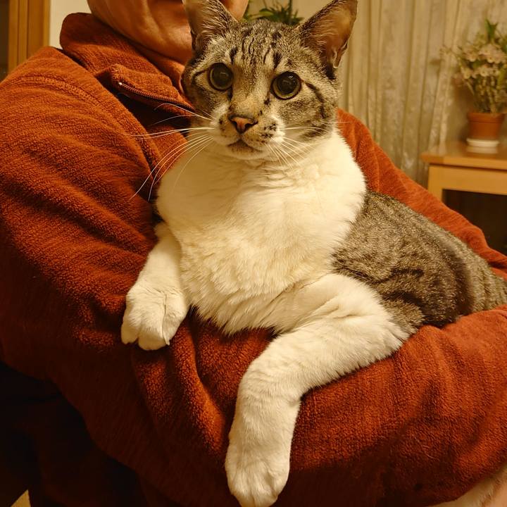 D7fc448f 82fc 4171 8942 c1e3bb4e8c60 1677717705107