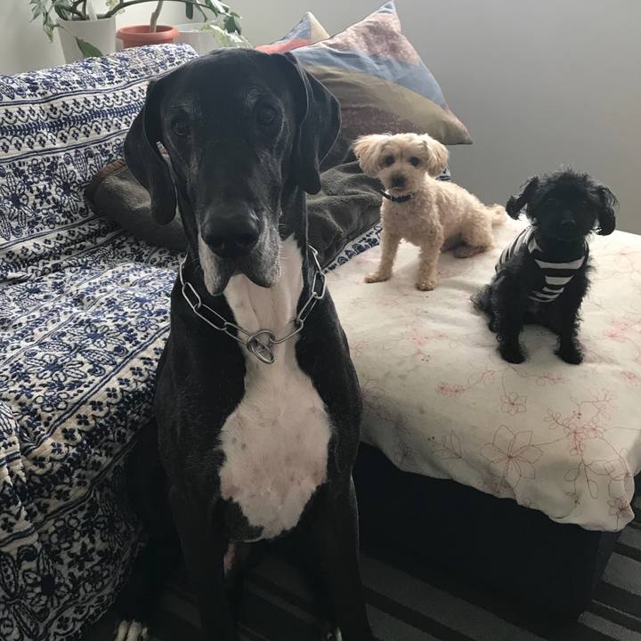 D7fc55ea 7ed3 4056 b0b7 8bd4d535dc07 1524782961006