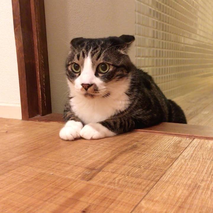 D7fc7bb9 0b9e 497a a1cb c99125d4eee0 1528116714277