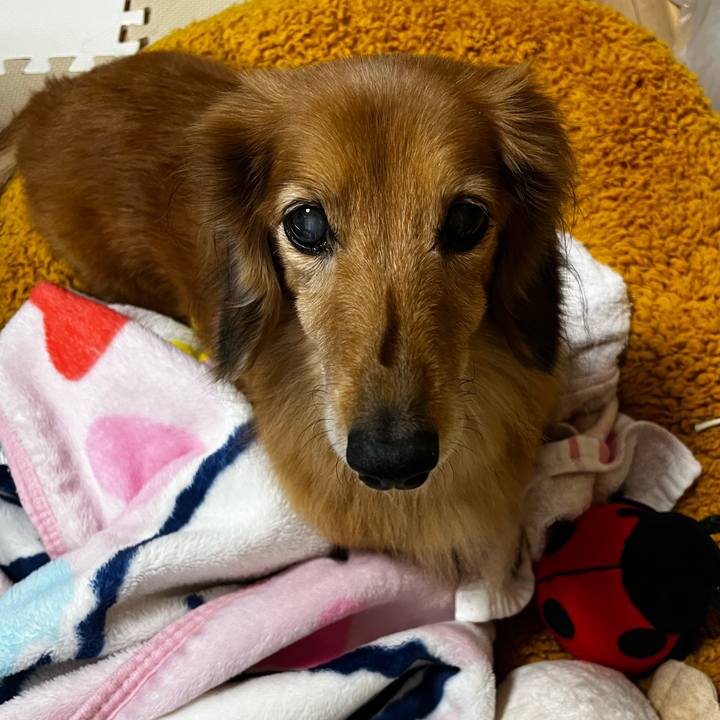 D7fcacb5 67c3 4a85 97c9 85efcbdbb375 1668082028399