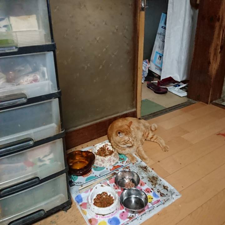 D7fcd7b6 f3c0 4d3a 97eb 87deab091b45 1659474865308