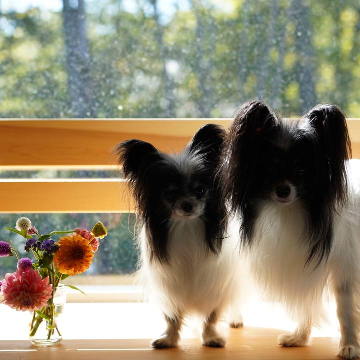 D7fcf23a 9210 4398 bc17 a13012b855bf 1664708289358