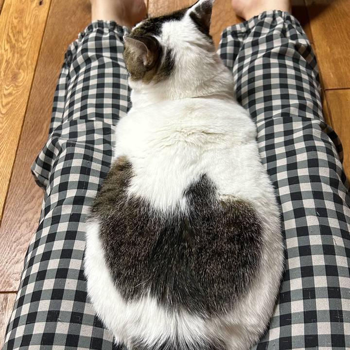 D7fcf5df 708e 40b7 842e 8a4f2ca66ebc 1687346720015