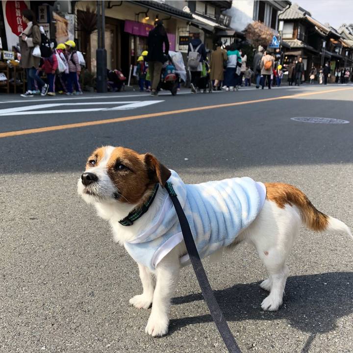 D7fd147e e7d2 40dd 9415 e03a54c4c76e 1520426428253