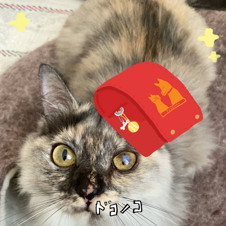 D7fd1512 3527 4cf6 bf72 81379dbab5cb 1744256869675