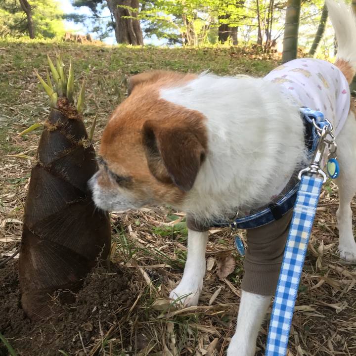 D7fd3f10 c7eb 48ab 8bf2 d64ab5a05fb3 1523321996861