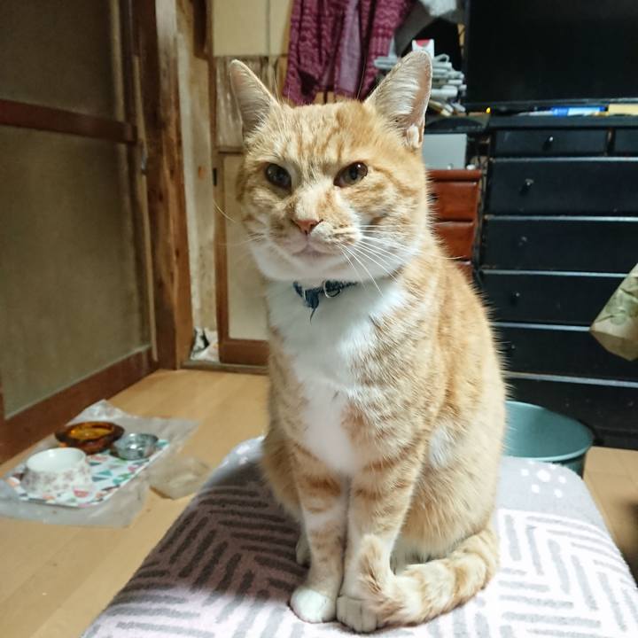 D7fd5576 2ca7 4c4f abb5 efcafd8a498c 1607543252779