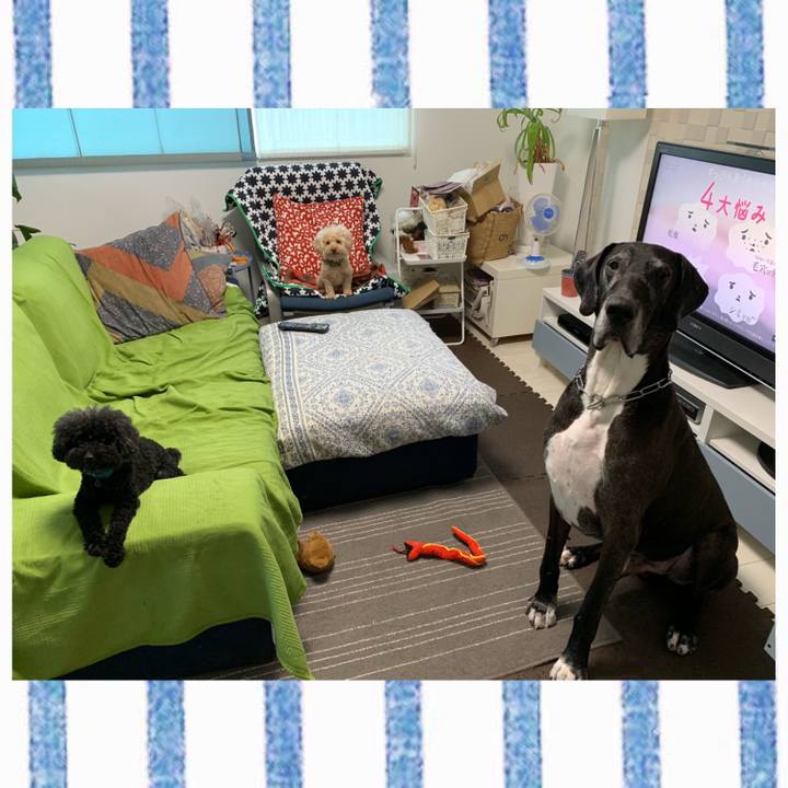 D7fd680c f11e 4d14 b032 f6c75e924eba 1563488887374