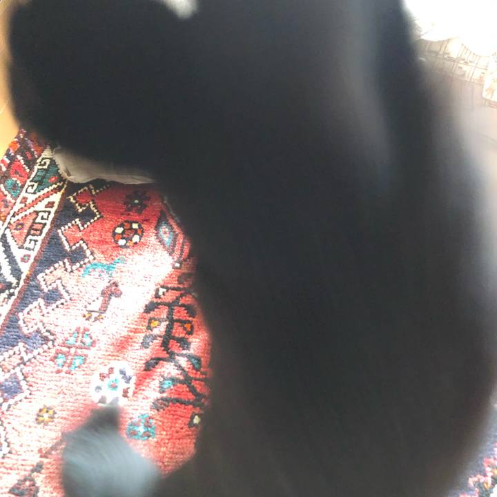 D7fd99f3 5f83 4ea7 8de4 eb9f2493074f 1567506938986