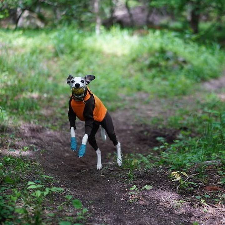 D7fda5e4 5c4f 4723 ab81 17c11957b335 1530976584322