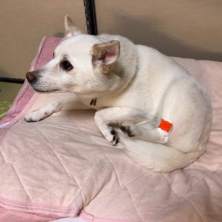 D7fdba69 4eeb 4643 94a5 b27ba7e634ec 1618918921960