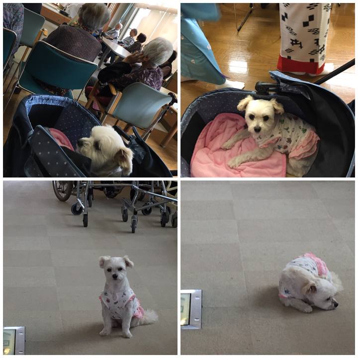 D7fdca3f d484 4c65 b451 729f190159e7 1538728809278