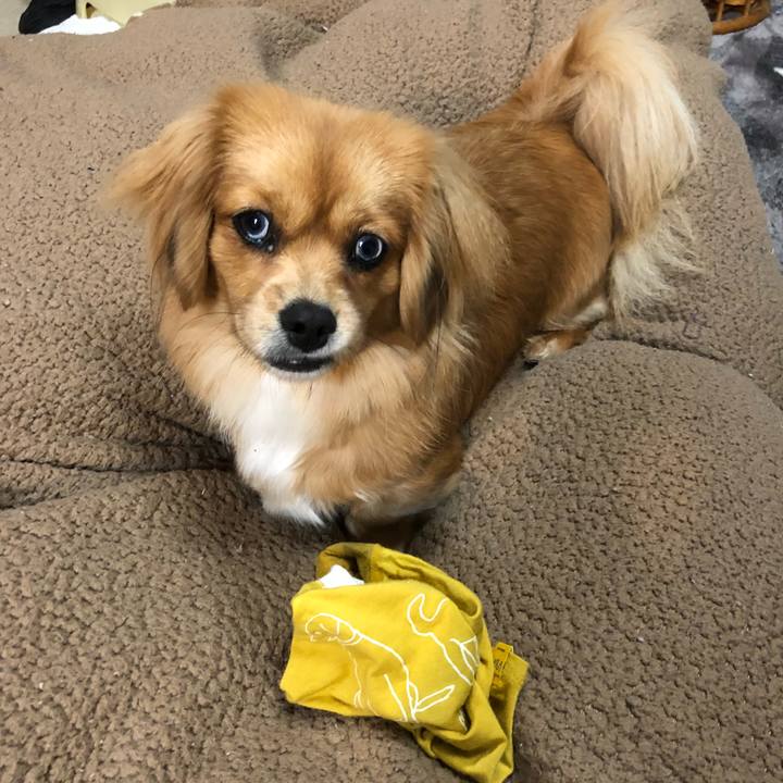 D7fdfc95 e273 43c0 b0af 694021314314 1517524779022