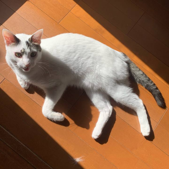 D7fea306 c077 40ec be4c 2d5199aaa40c 1614830931132