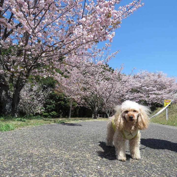 D7fed19c 0509 41bf 9c57 07a907152092 1649066137580