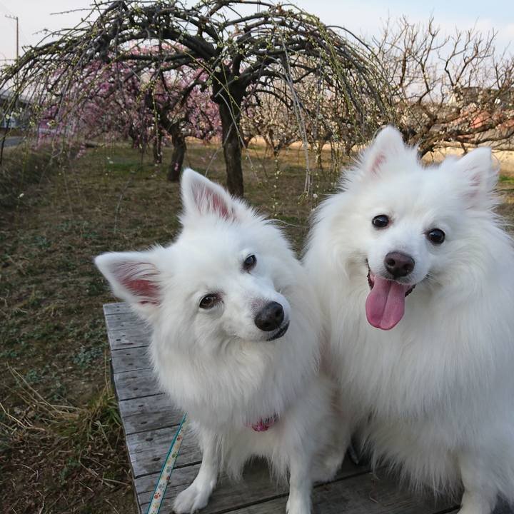 D7fed49a 0f3b 4f73 8950 1bd0f8fbd5fd 1613806125214