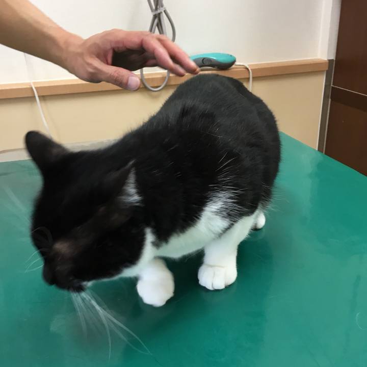 D7ff3470 2abd 4f84 9846 000455046894 1559471535794