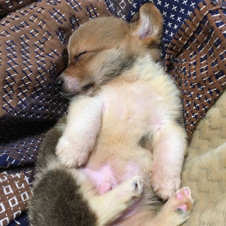 D7ff568d c8f4 4a7d 816a f487b90223ec 1639099234727