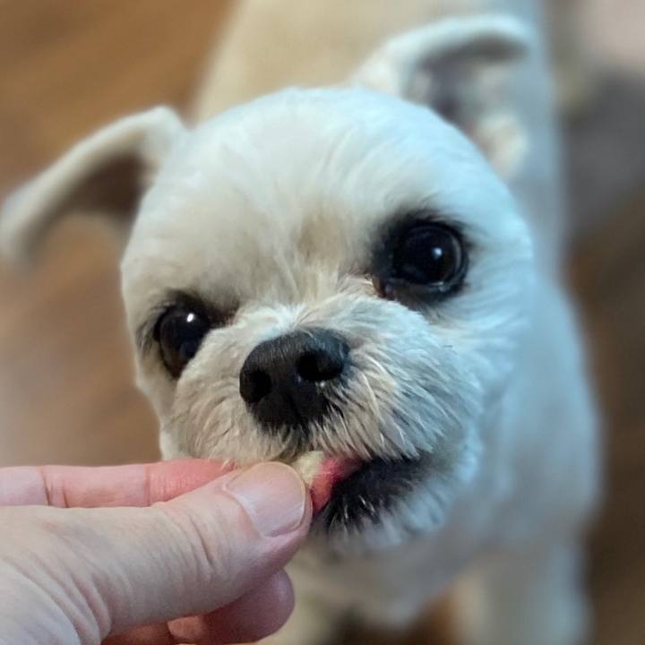 D7ff8510 d413 4f20 a0a0 8154bd843520 1577955394333