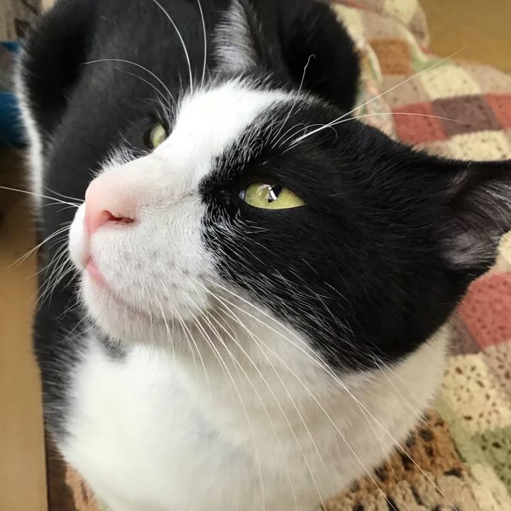 D7ff9598 758f 4194 a2e5 5a9623448b51 1728096832744