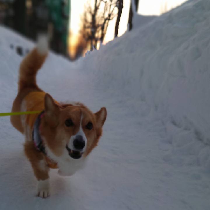 D7ff9bef cff4 42f4 aeff 133a564db982 1770162442171