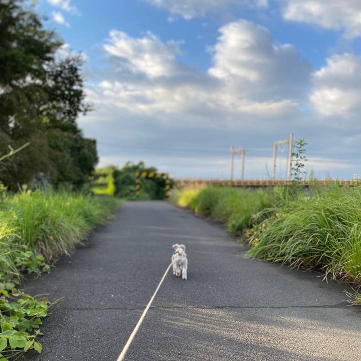 D7ffb1e2 b359 4231 8b7e 5217db2d894d 1600313272454