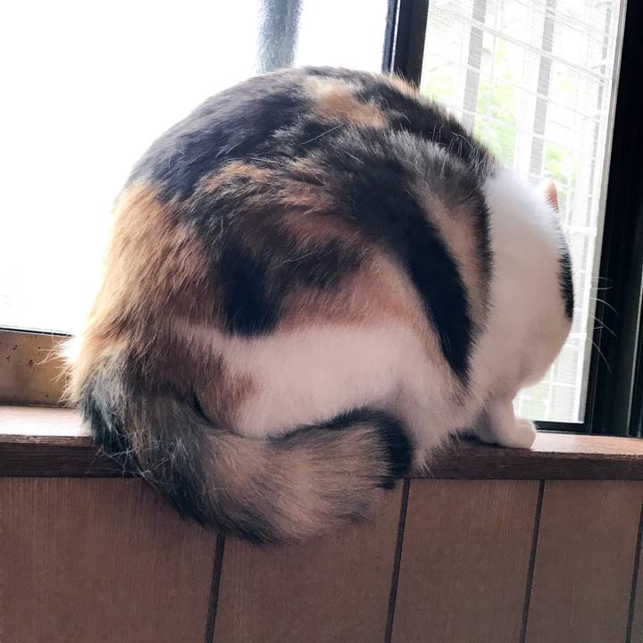 D7ffc062 ef40 4291 9177 6e7af2e7212a 1529591896812