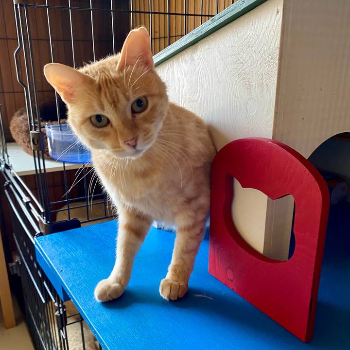 D7ffe73b aacd 4910 895e b9ce114fa6cc 1751687327682