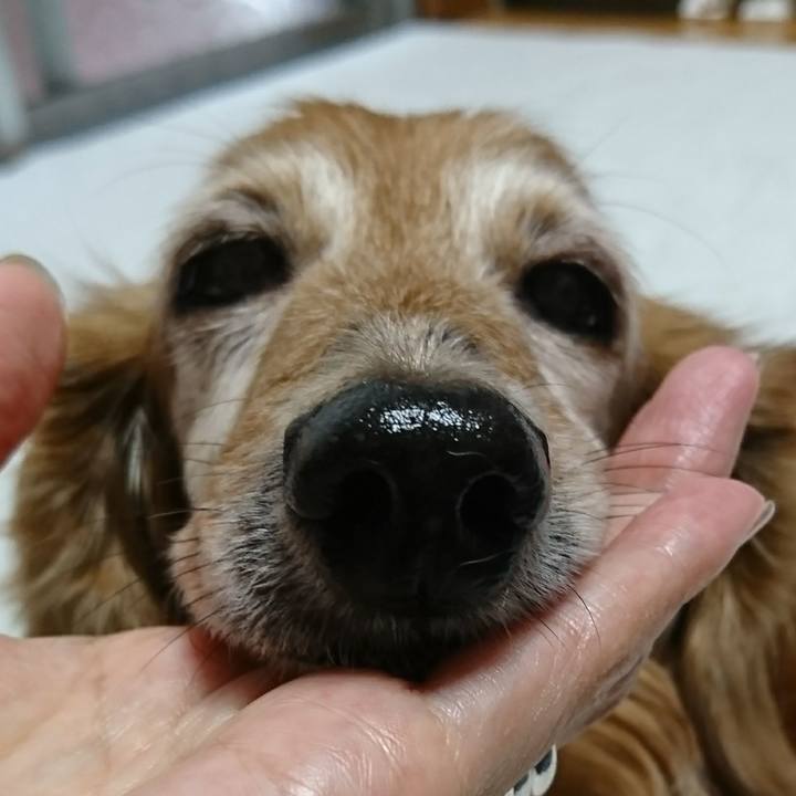 D7ffec4c 92b1 4349 a524 9cd3c5b6bbc8 1508042246480