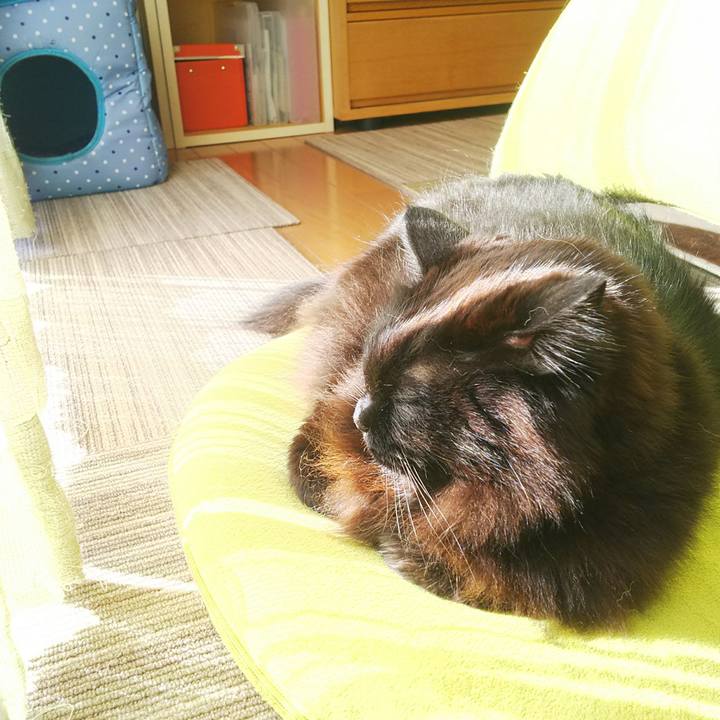 D7ffee6d 253c 4eb4 a531 320b5175353c 1550726174054