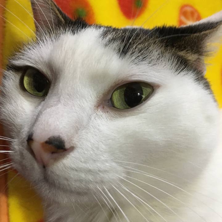 D800069d 55af 425c ac4a 92960e3c0cc9 1519124289327