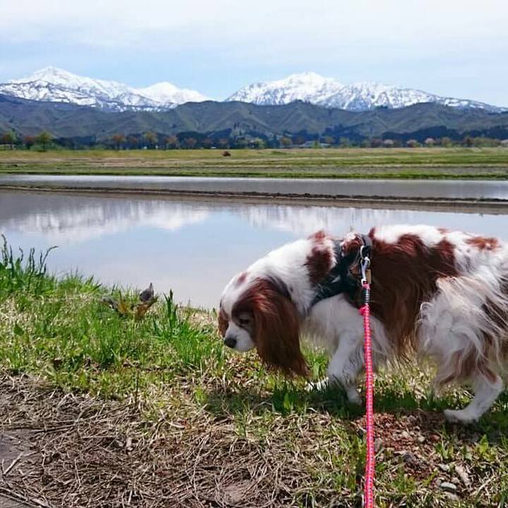 D8003276 a5ab 45aa 9744 694a0aeae37c 1556421090804