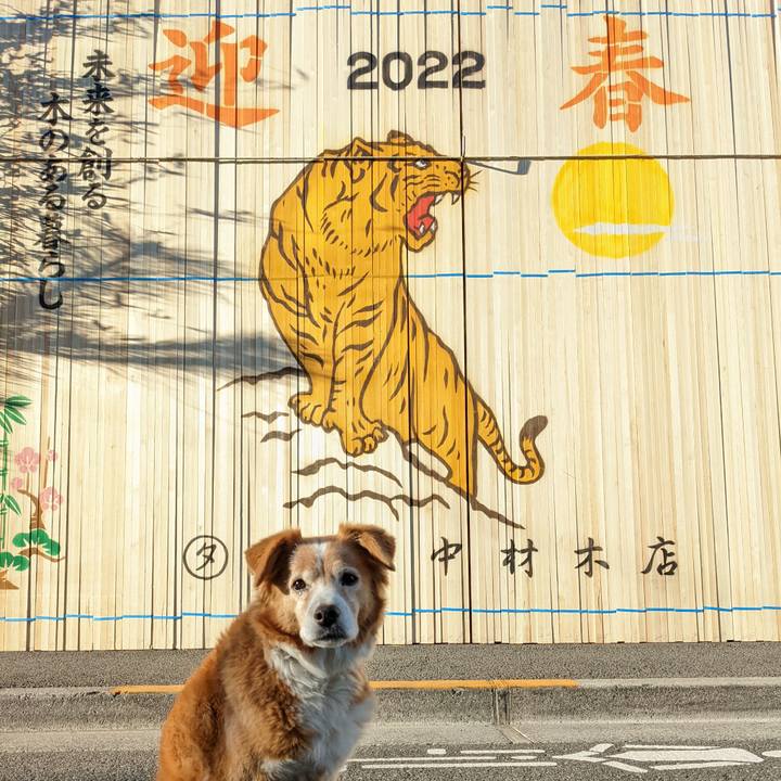 D8005414 1e38 4573 ac6d 4700d8705273 1640994458170