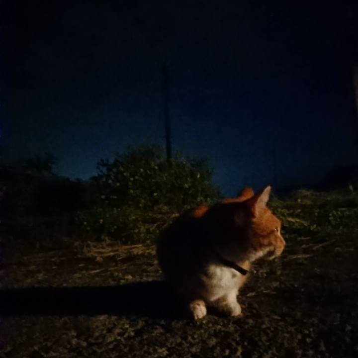 D800d387 201e 48b6 a44b 35f619991661 1602753312809